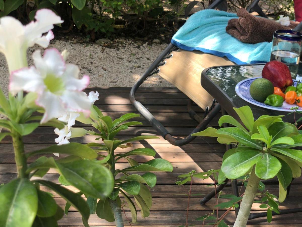 Casa "La 44" Bed & Breakfast Merida Luaran gambar